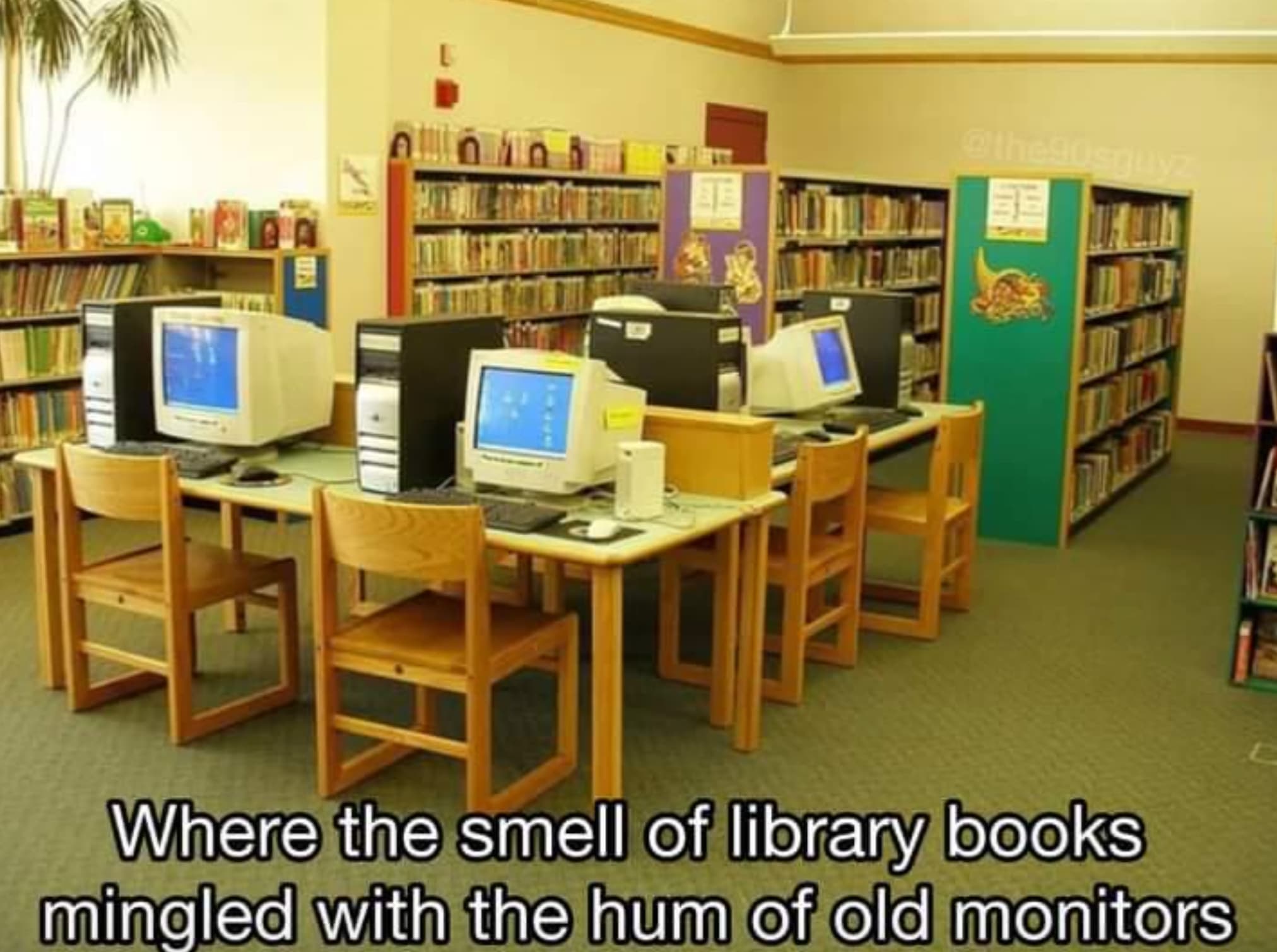 children library in the 1990s - Where the smell of library books mingled with the hum of old monitors